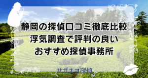 静岡の探偵事務所 浮気調査静岡の探偵口コミ徹底比較｜浮気調査で評判の良いおすすめ探偵事務所